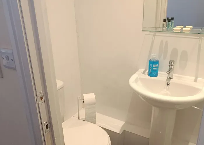 فندق Bristol Hotel *